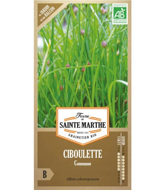 Ciboulette Commune - Semences reproductibles bio