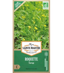 Roquette Sauvage - Semences reproductibles bio