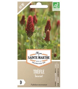 TREFLE Incarnat AB 150 g - Semences reproductibles bio