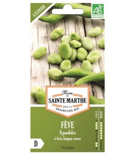 Pois Nain Mange tout - Semences reproductibles bio