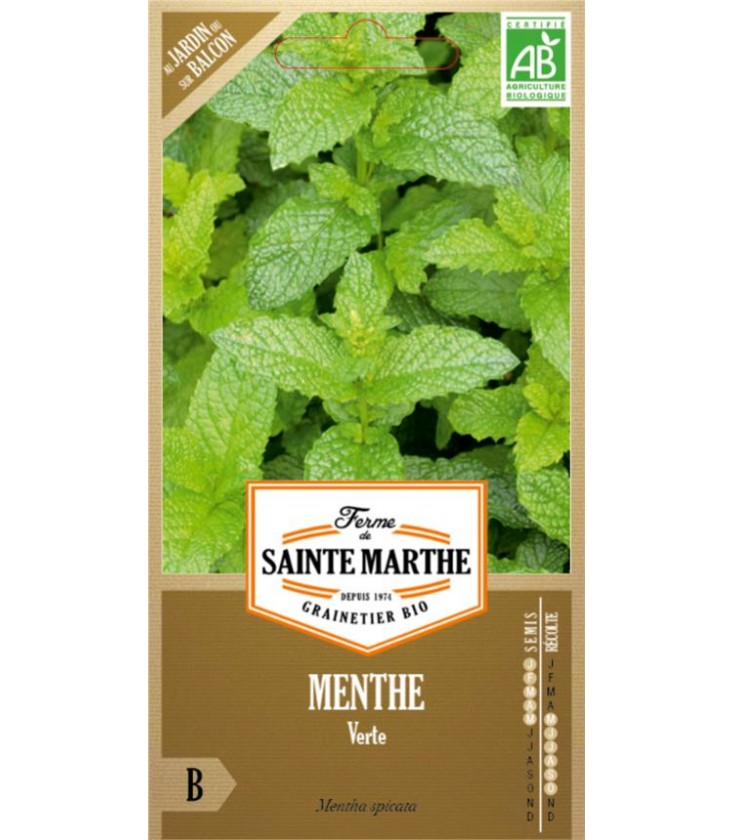 MENTHE Verte AB - Semences reproductibles bio