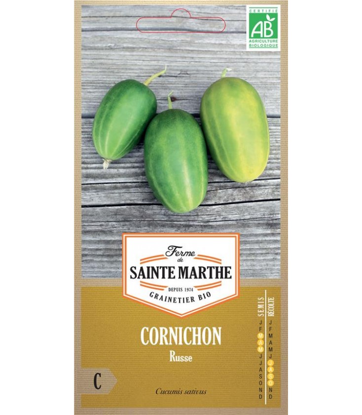 CORNICHON Russe AB - Semences reproductibles bio