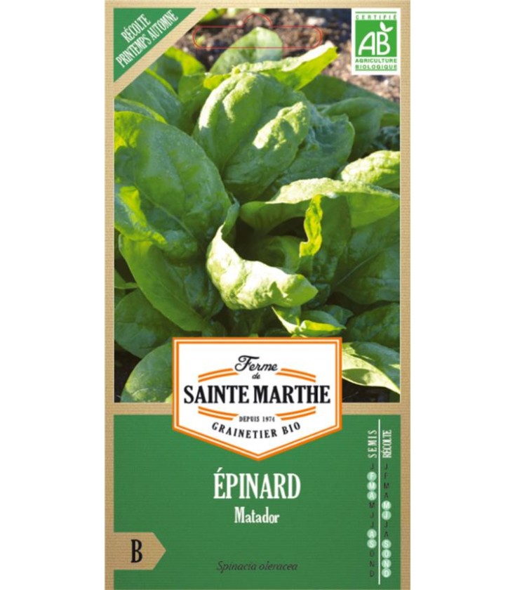 EPINARD Matador AB - Semences reproductibles bio