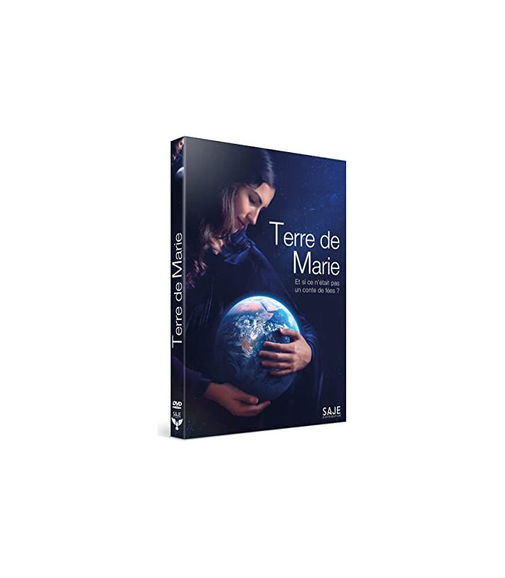 TITRE FICHE VIERGE CRÉATION DVD (occasion)(neuf)