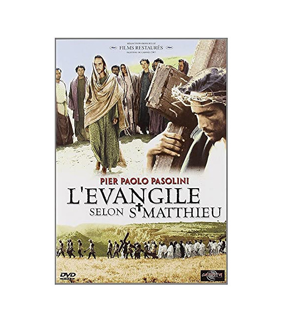 FICHE VIERGE CRÉATION DVD