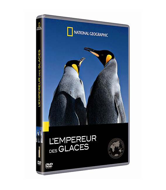 TITRE FICHE VIERGE CRÉATION DVD (occasion)(neuf)