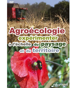 TITRE FICHE VIERGE CRÉATION DVD (occasion)(neuf)