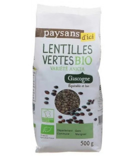 Lentilles vertes Anicia bio & équitable