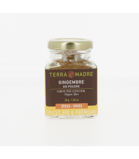 Gingembre en poudre bio & demeter (petit pot)