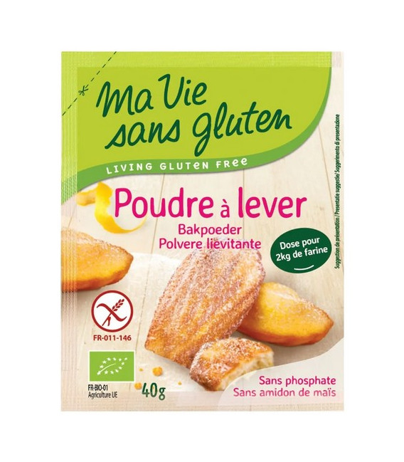 Poudre à Lever bio & sans gluten