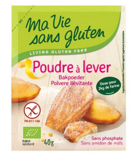 Poudre à Lever bio & sans gluten