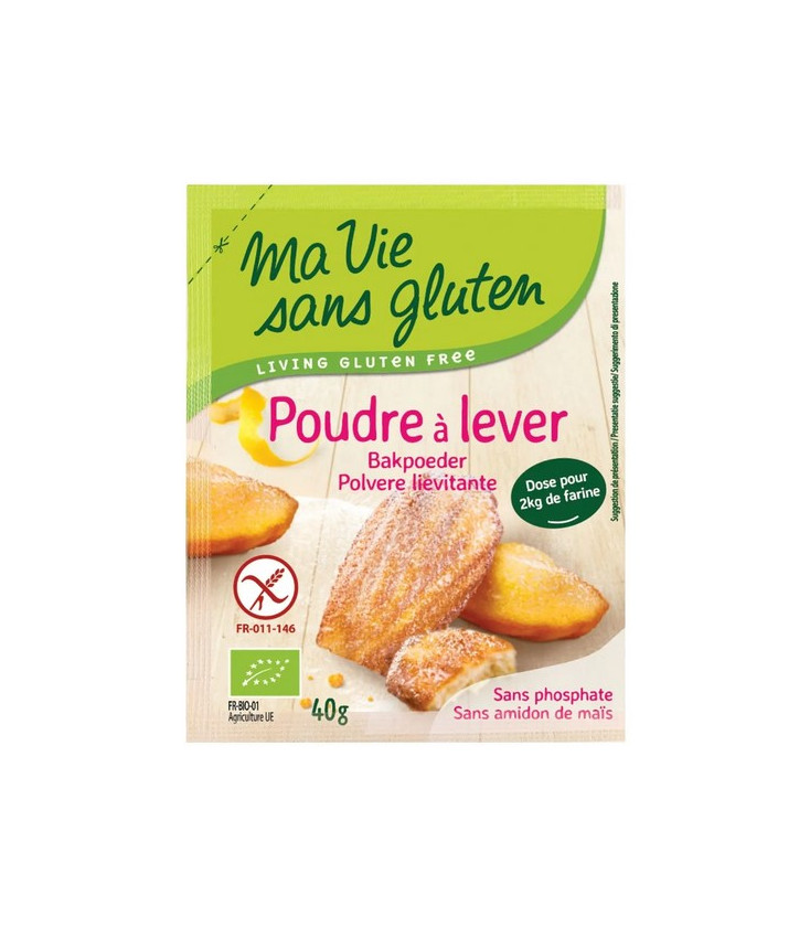 Poudre à Lever bio & sans gluten