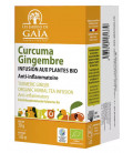 Défenses immunitaires - Curcuma Gingembre Bio